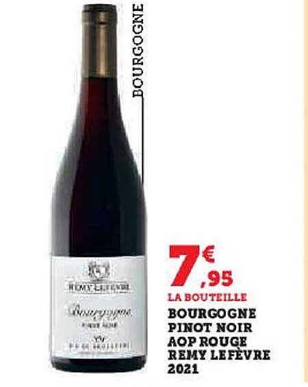 bourgogne pinot noir aop rouge remy lefèvre 2021