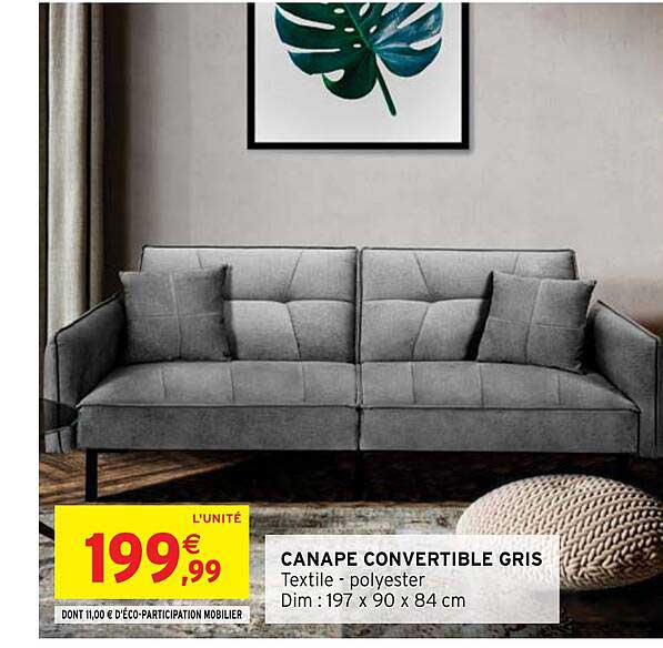Canapé Convertible Gris