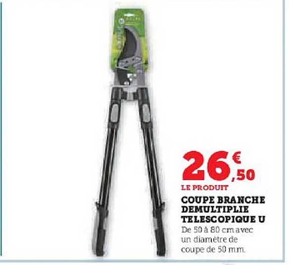 coupe branche démultiplie télescopique u