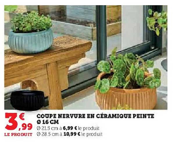 coupe nervure en céramique peinte ø 16 cm