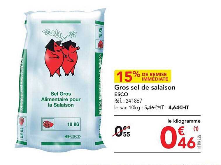 gros sel de salaison esco