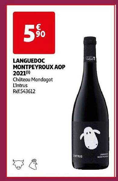 Languedoc Montpeyroux Aop 2021 Château Mandagot L'instrus