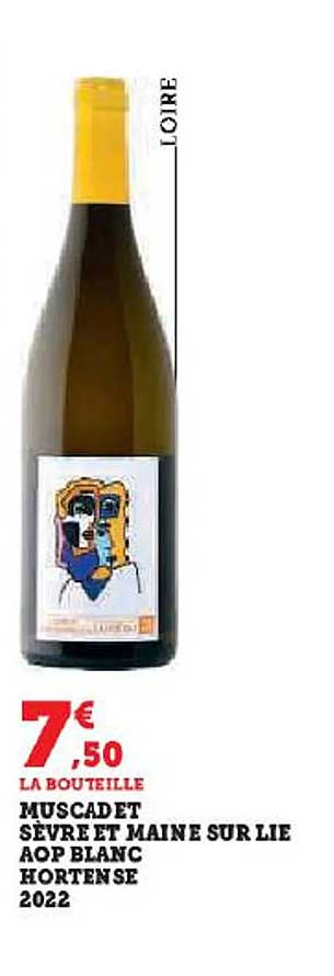 muscadet sèvre et maine sur lie aop blanc nortense 2022
