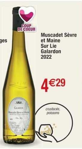 muscadet sèvre et maine sur lie galardon