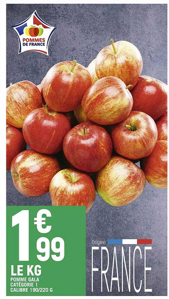 Pomme Gala Catégorie 1