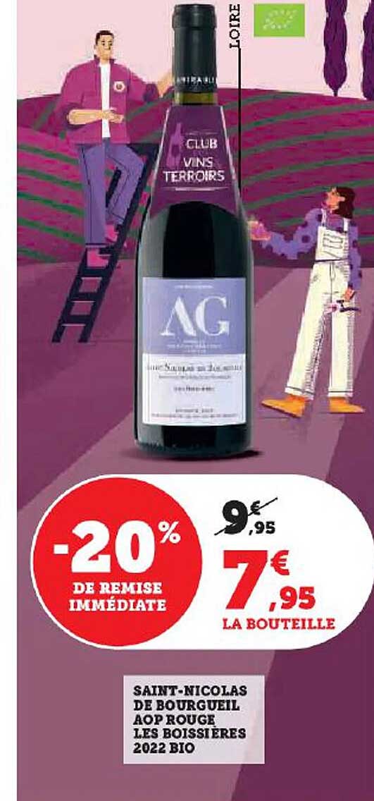 saint-nicolas de bourgueil aop rouge les boissières 2022 bio