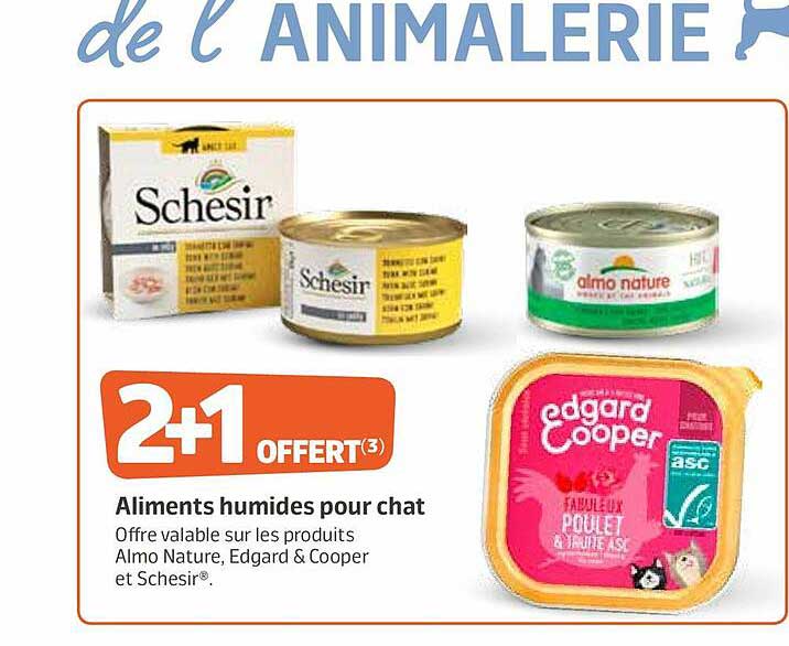 Aliments Humides Pour Chat