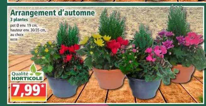 arrangement d'automne