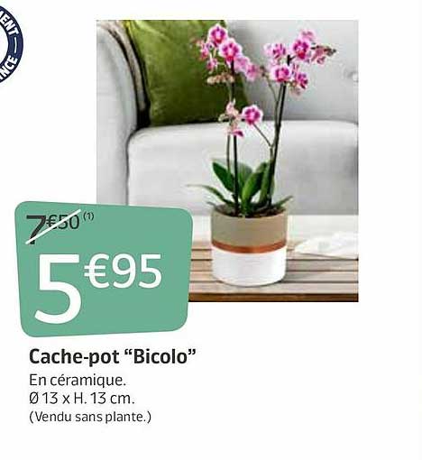 cache-pot "bicolo"