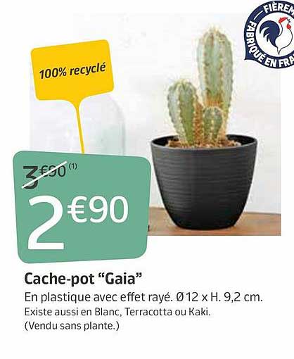 cache-pot "gaia"