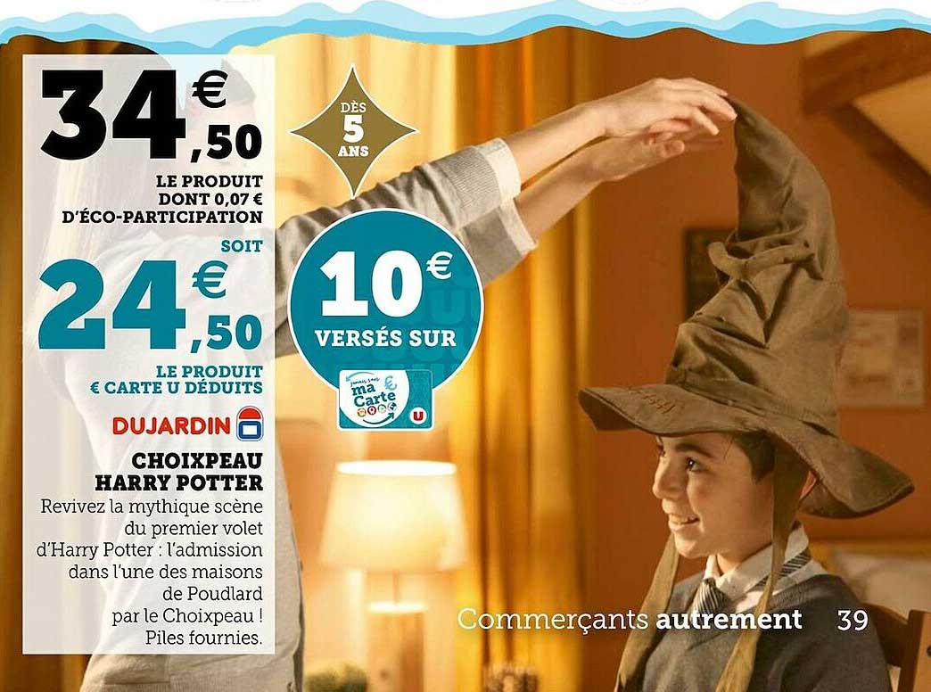 choixpeau harry potter