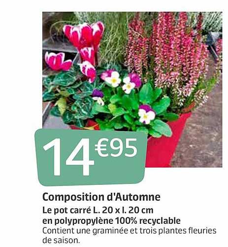 composition d'automne