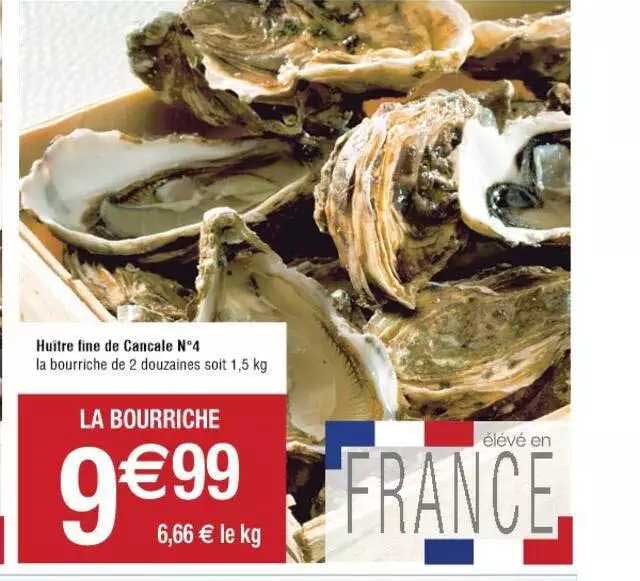 huître fine de cancale n°4