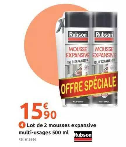 Lot De 2 Mousses Expansive Multi-usages 500ml Rubson