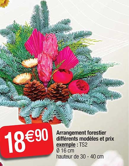 arrangement forestier différents modèles et prix