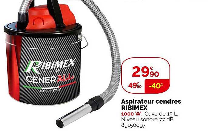 Aspirateur Cendres Ribimex