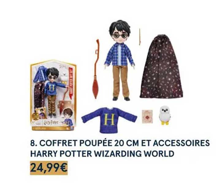 coffret poupée 20 cm et accessoires harry potter wizarding world