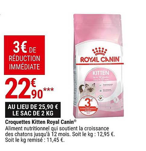 croquettes kitten royal canin