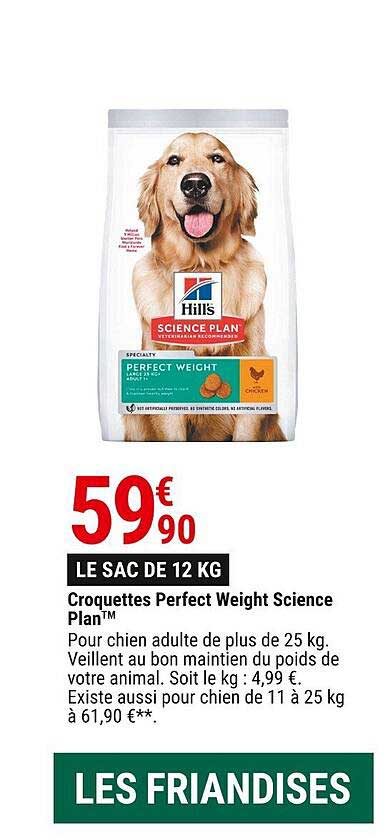 croquettes perfect weight science plan