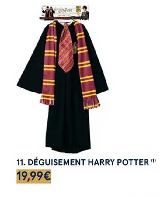 déguisement harry potter