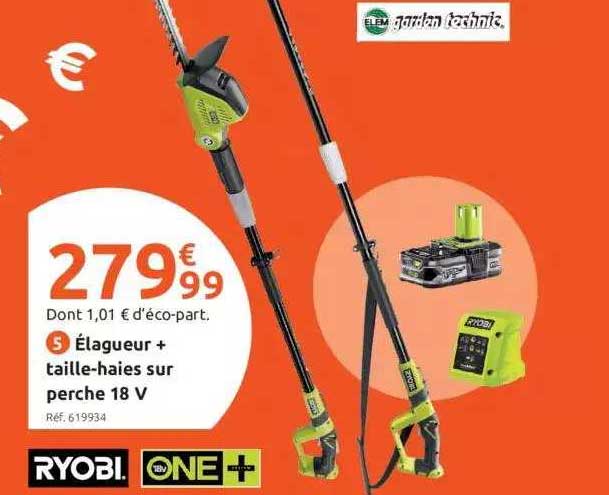 élagueur + taille-haies sur perche 18 v ryobi