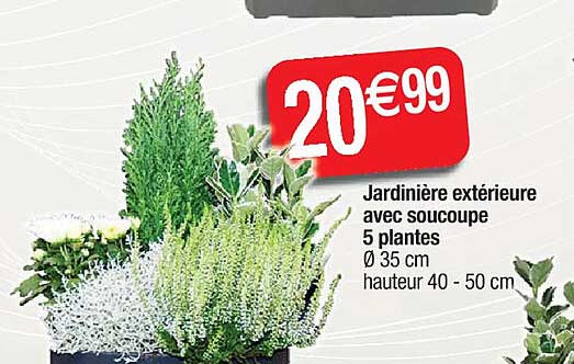 jardinière extérieur avec soucoupe 5 plantes