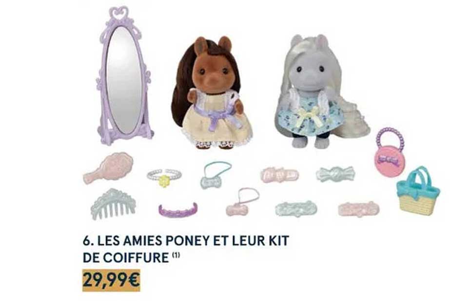 les amies poney et leur kit de coiffure