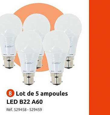 lot de 5 ampoules led b22 a60