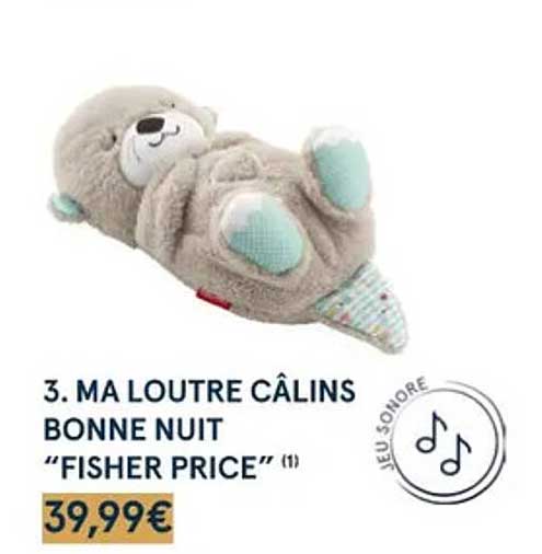 Ma Loutre Câlins Bonne Nuit "fisher Price"