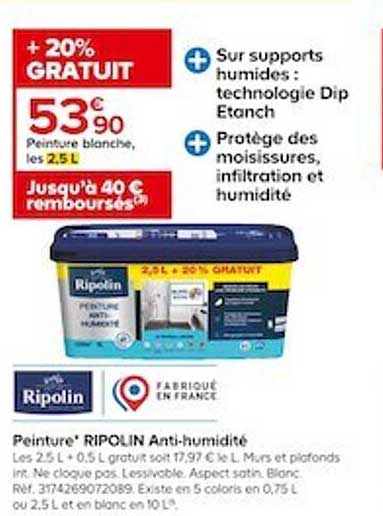 peinture blanche ripolin anti-humidité