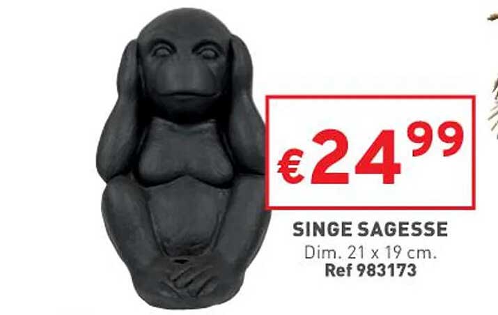 singe sagesse