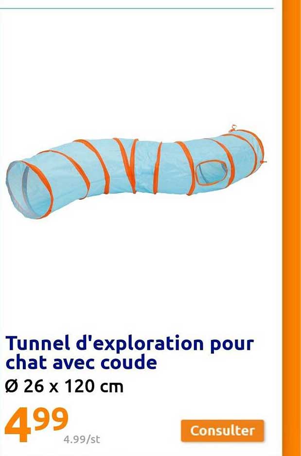 Tunnel D'exploration Pour Chat Avec Coude