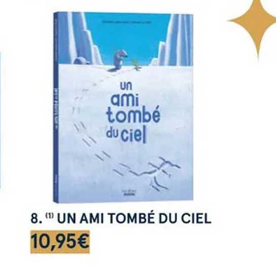 un ami tombé du ciel