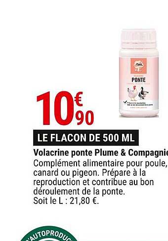 volacrine ponte plume & compagnie