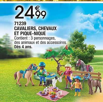 71239 cavaliers, chevaux et pique-nique