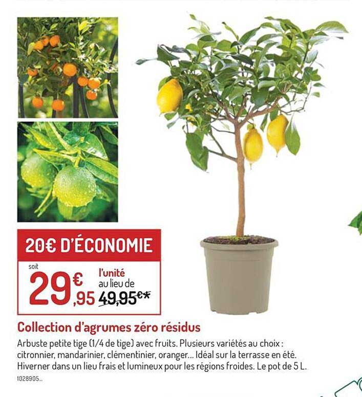 collection d'agrumes zéro résidus