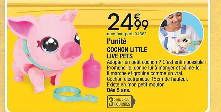 l'unité ochon little  live pets