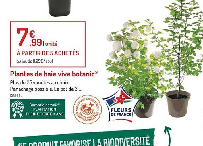 plantes de haie vive botanic