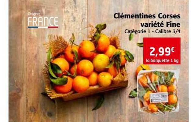 clémentines corses variété fine