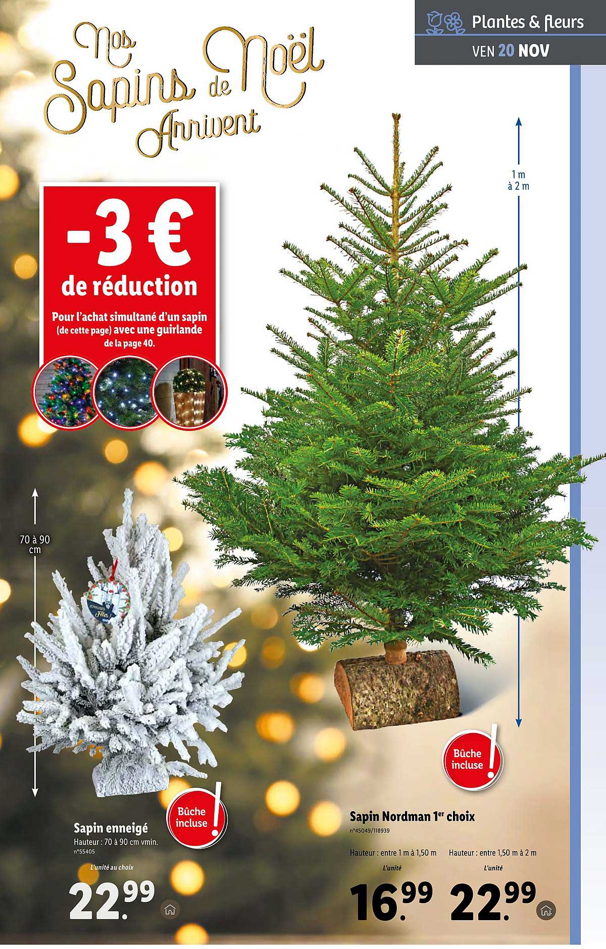 sapin enneigé, sapin nordman 1er choix