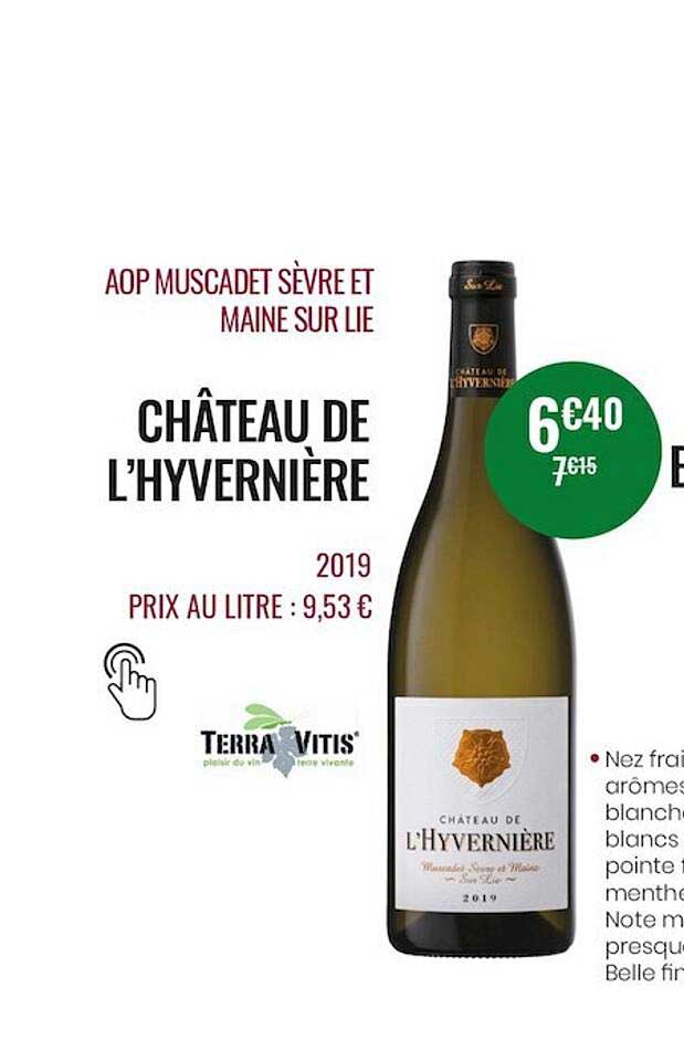aop muscadet sèvre et maine sur lie château de l'hyvernière 2019
