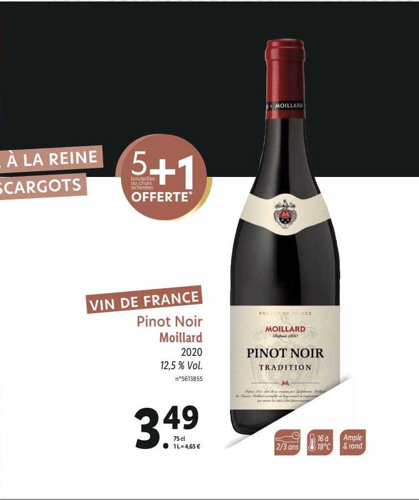 pinot noir moillard 2020