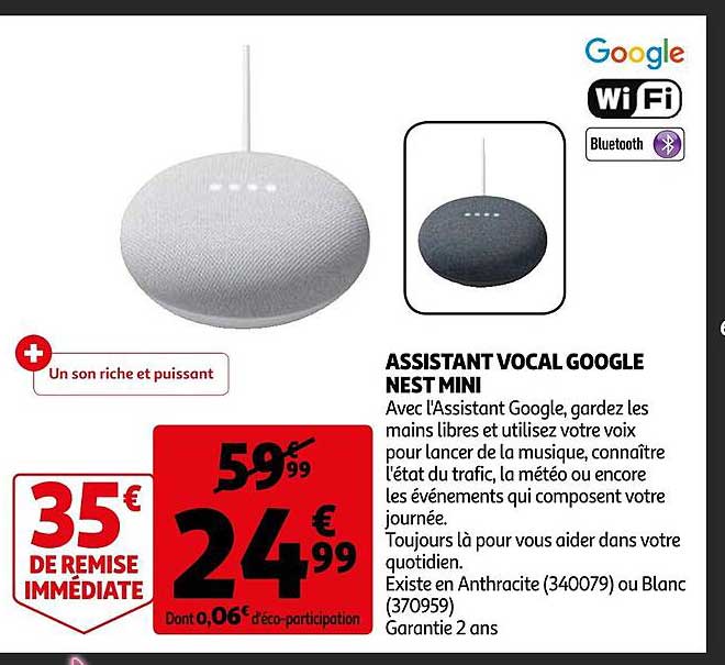 assistant vocal google nest mini