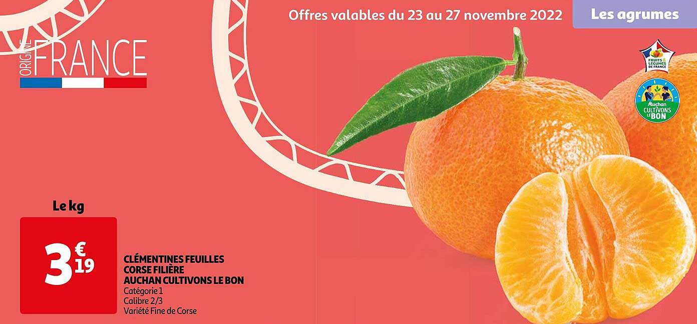 clémentines feuilles corse filière auchan cultivons le bon