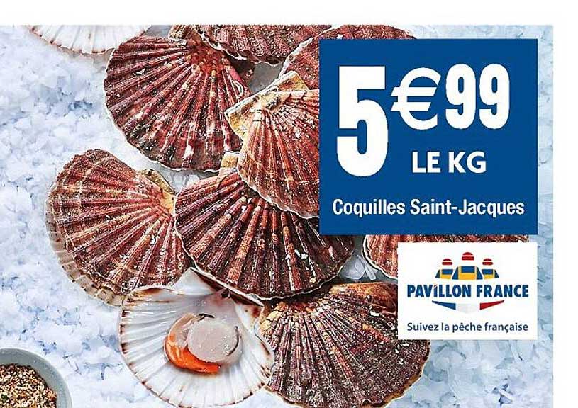 coquilles saint-jacques