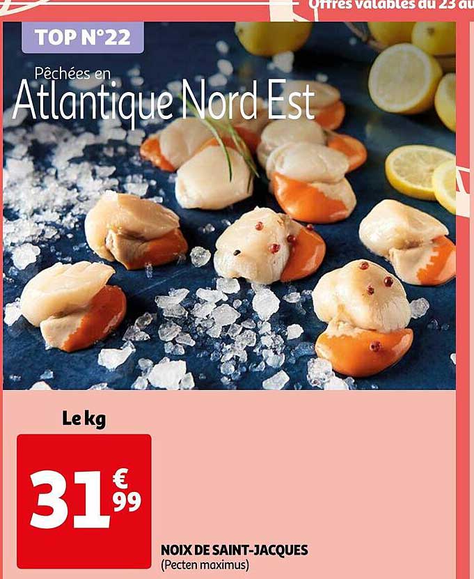 noix de saint-jacques