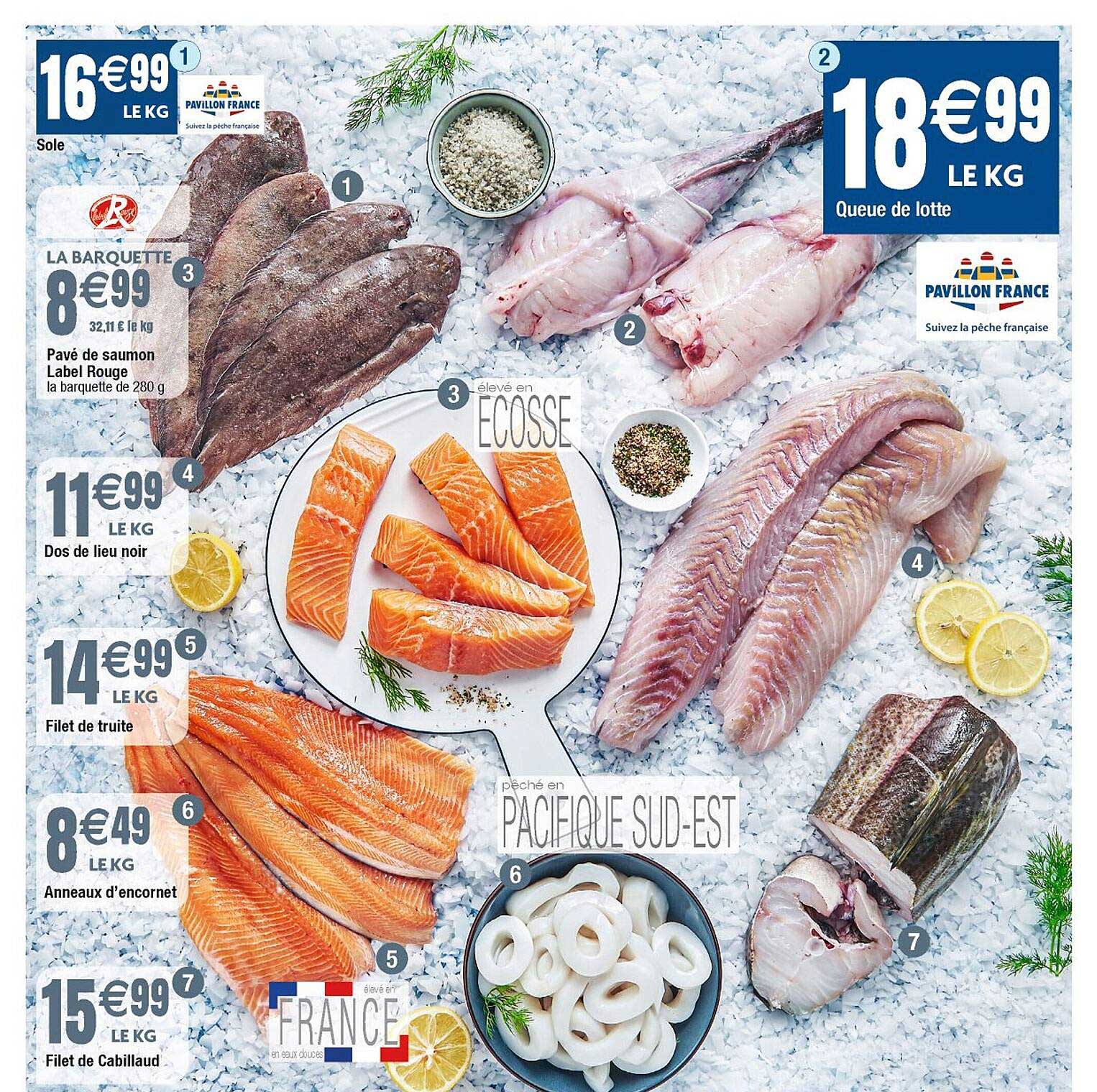 pavé de saumon label rouge, dos de lieu noir, filet de truite, anneaux d'encornet, filet de cabillaud