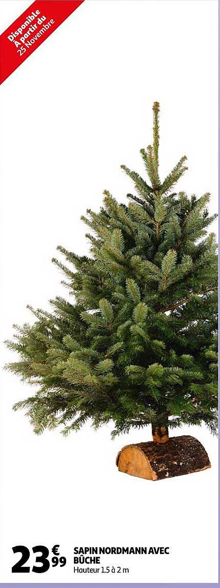 sapin nordmann avec bûche