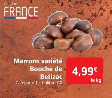 marrons variété bouche de betizac