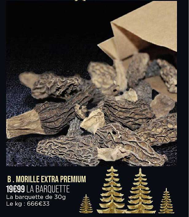 Morille Extra Premium